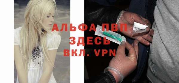 гашик Алексеевка