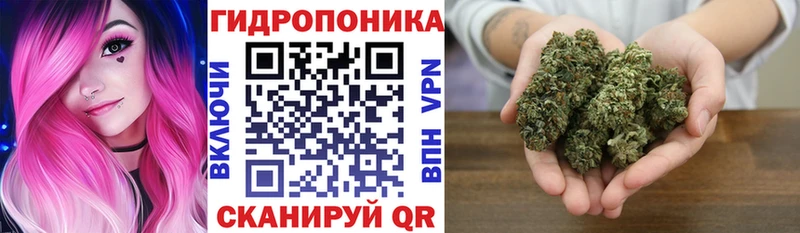 Шишки марихуана Bruce Banner  купить наркотики цена  Павловский Посад 